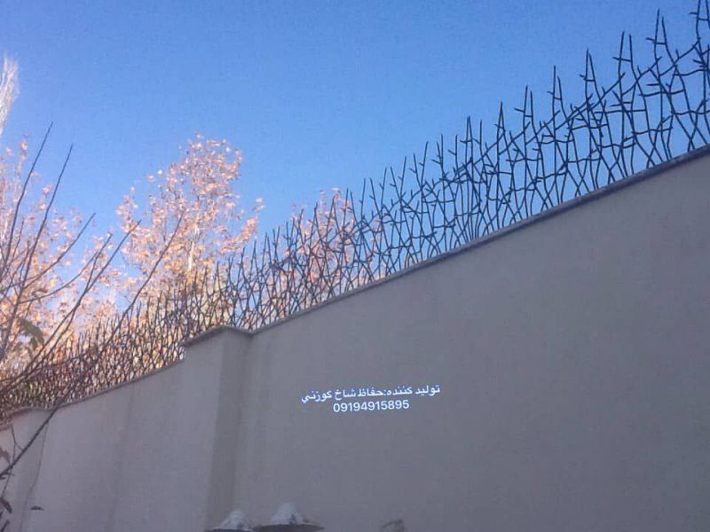 حفاظ شاخ گوزنی چیست و چه ویژگی هایی دارد؟ 